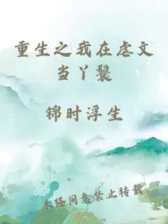 重生之我在虐文当丫鬟