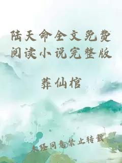 陆天命全文免费阅读小说完整版